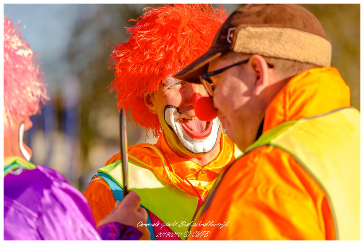 Optocht 2018 door Kees 't Hooft (191)