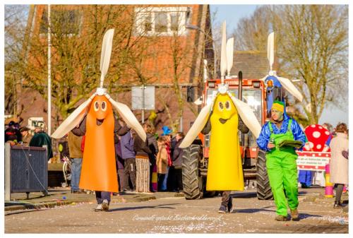 Optocht 2018 door Kees 't Hooft (96)